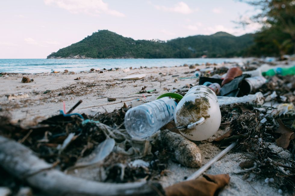 polluted beach